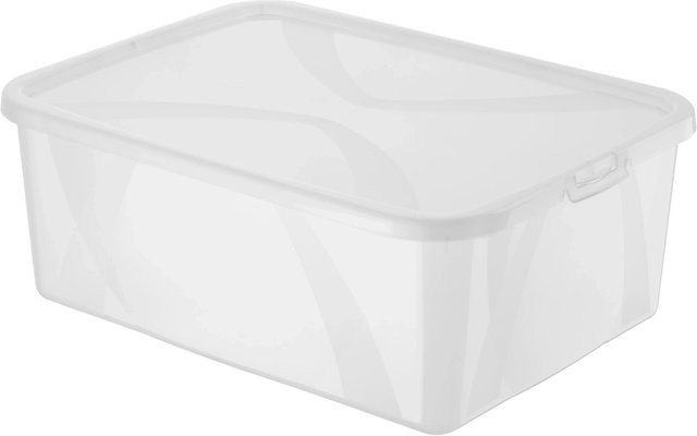 Rotho Clear Box Arco Men Schuhbox Transparent - Bild 1