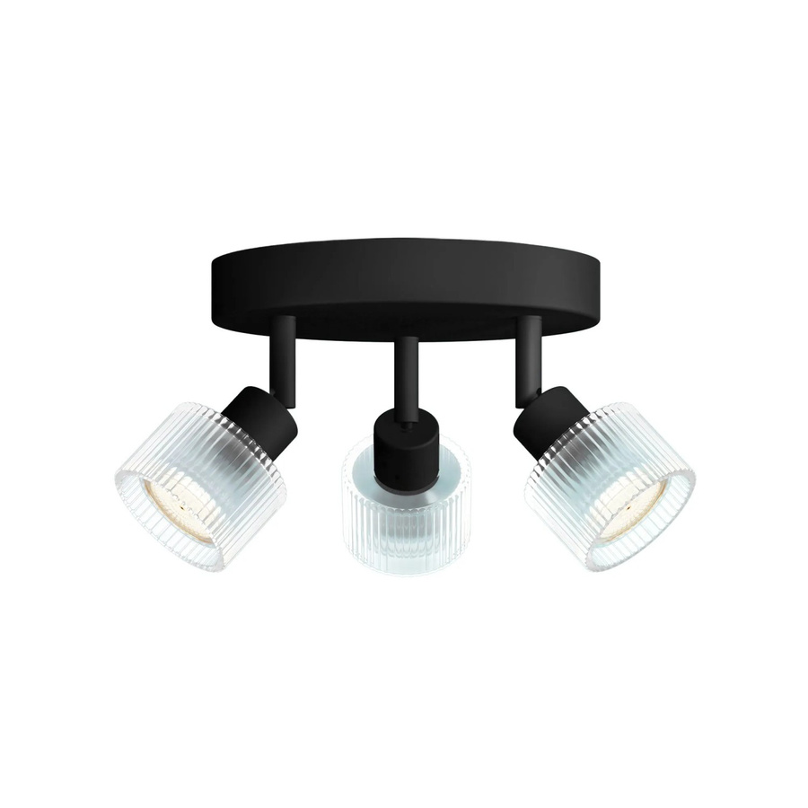 Philips LED-Spot Horen Rund 3-flammig für Wand- und Deckenmontage in Schwarz mit verstellbaren Glas-Elementen - Bild 2