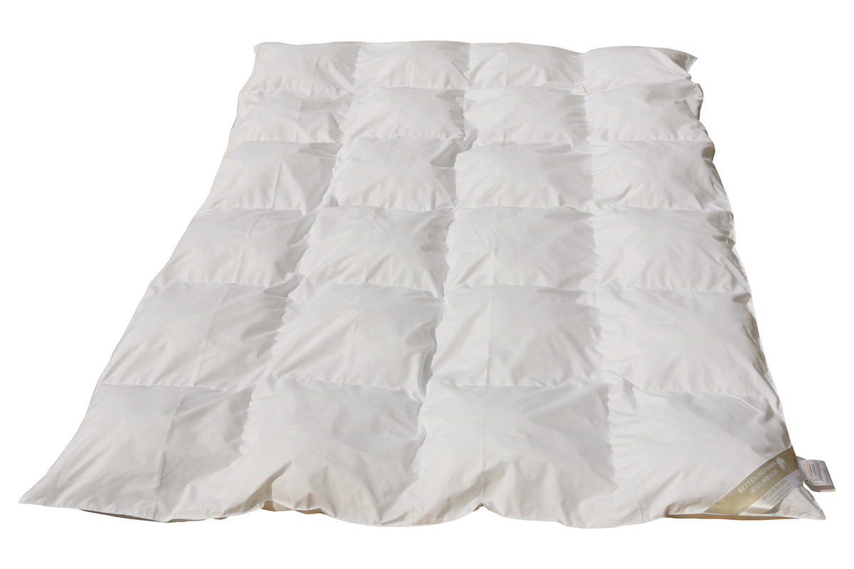 Betten Hofmann Basic Kassettenbett 4x6 Steppdecke Ganzjahresdecke aus Baumwolle und Mikrofaser, Farbe: Weiß, B x L: 135 x 200 cm - Bild 1