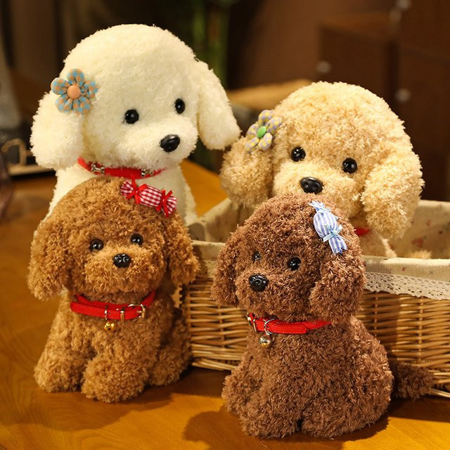 Teddy Hund Plüschtier, lockige Haare, mit Kragen und Blume - Bild 1