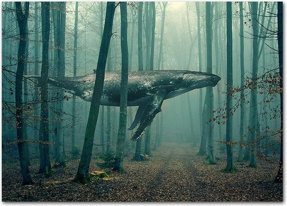 Abstrakte Wale im Wald Nordic Print Poster, Leinwandmalerei mit Frühlingslandschaft und Tieren in Blau, B/H: 21 x 30 cm - Bild 1