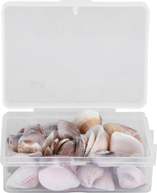 Neoglint Natürliche Muscheln in Weiß für DIY Bastelarbeiten und maritime Dekorationen - Bild 1
