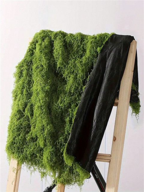 Pavem Künstlicher Moos-Teppich in Dunkelgrün, B/B: 100 x 100 cm - Bild 1