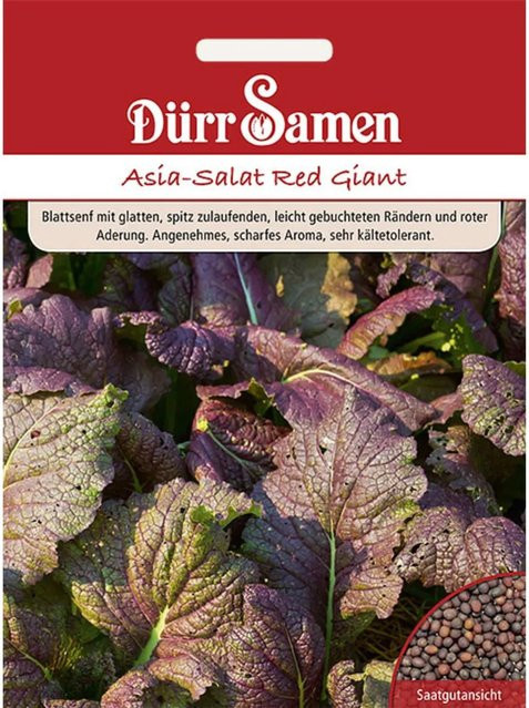 Dürr Samen Asia-Salat Red Giant Saatgut 500 g - Bild 1