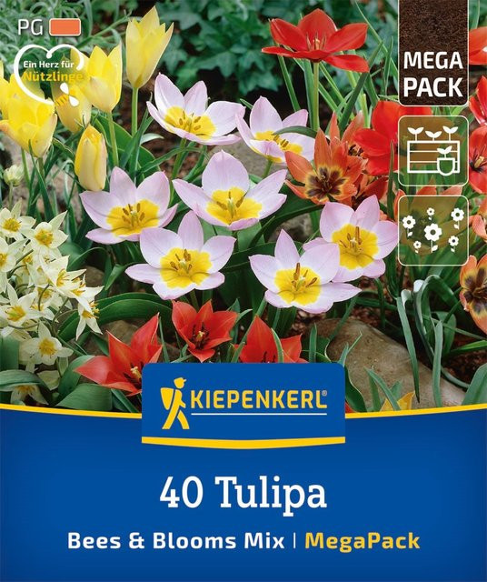 Kiepenkerl Mega Pack Bees & Blooms Blumenzwiebeln, 40 Stück, bunt - Bild 1