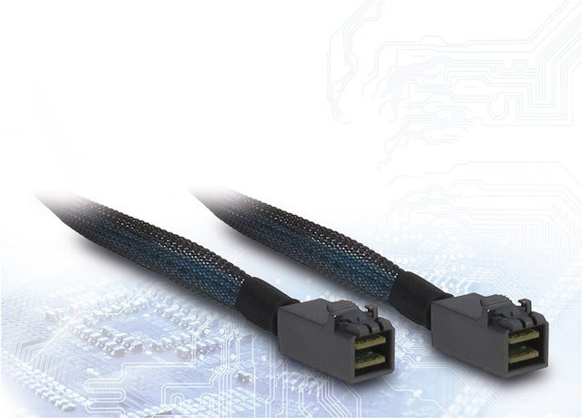 Inter-Tech SFF-8643 Kabel in Schwarz/Blau, Länge: 1 m - Bild 1