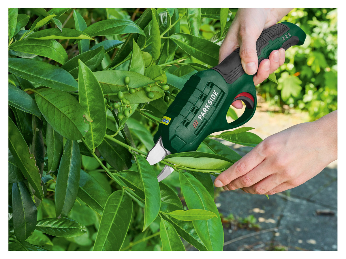PARKSIDE Akku-Gartenschere PAGS 4 A1 mit 4 V Akku inklusive Messerschutzhülle und USB-C-Ladekabel - Bild 3