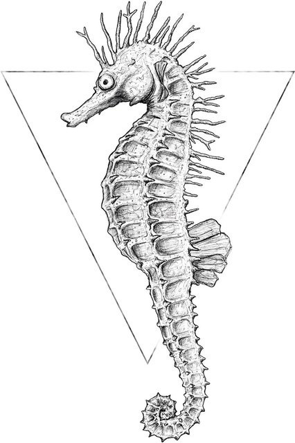 Komar Wandbild Sea Horse Paper Poster in Weiß, Breite: 50 cm, Höhe: 70 cm - Bild 1