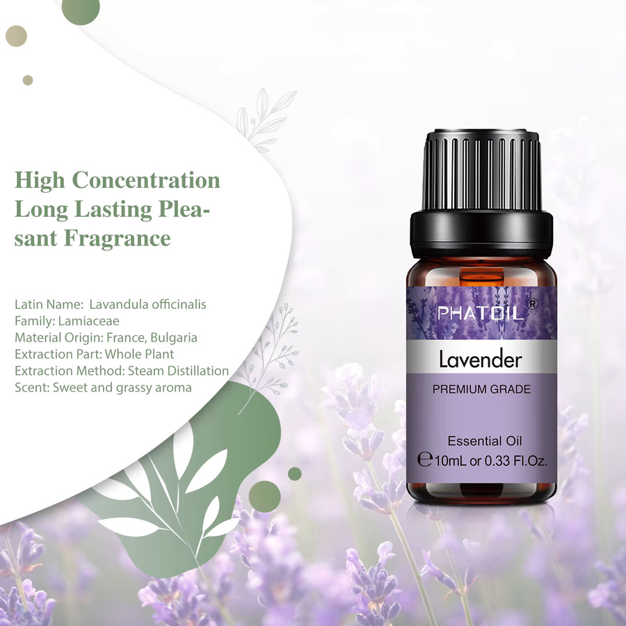 PHATOIL Ätherisches Pflanzenöl Eukalyptus Lavendel Bergamotte Vanille Pfefferminze, 10 ml - Bild 2
