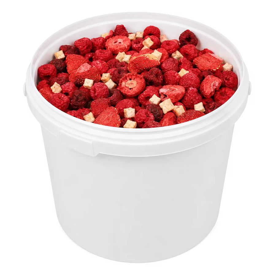 Frucht-Safari Gefriergetrocknete Mischung Apfel Himbeere Erdbeere Kirsche 80er Eimer - Bild 2