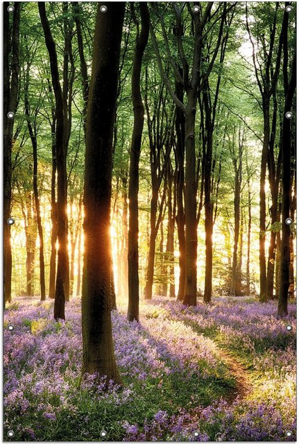 Wallario Gartenposter 2-teilig Blaue Hasenglöckchen im Wald mit Sonnenstrahlen, B/H: 180 x 180 cm, Blau/Mehrfarbig - Bild 1