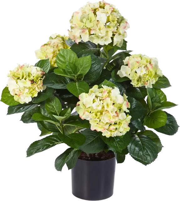 Künstliche Hortensie Noah von Aplanta, Höhe: 53 cm - Bild 1