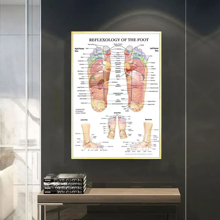 Potdemiel Wandkunst Skandinavisch: Poster mit Akupunkturpunkten, Anatomie und Fußreflexzonenmassage in Weiß auf Leinwand - Bild 3