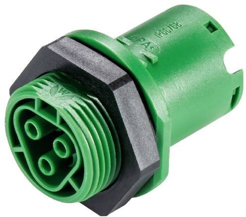 Wieland Electric 96.031.1055.7 Geräteanschluss in Grün - Bild 1