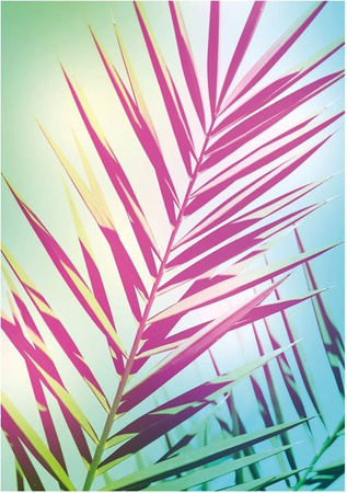 Komar Wandbild Shine Paper Poster Multicolor B: 50 cm, H: 70 cm