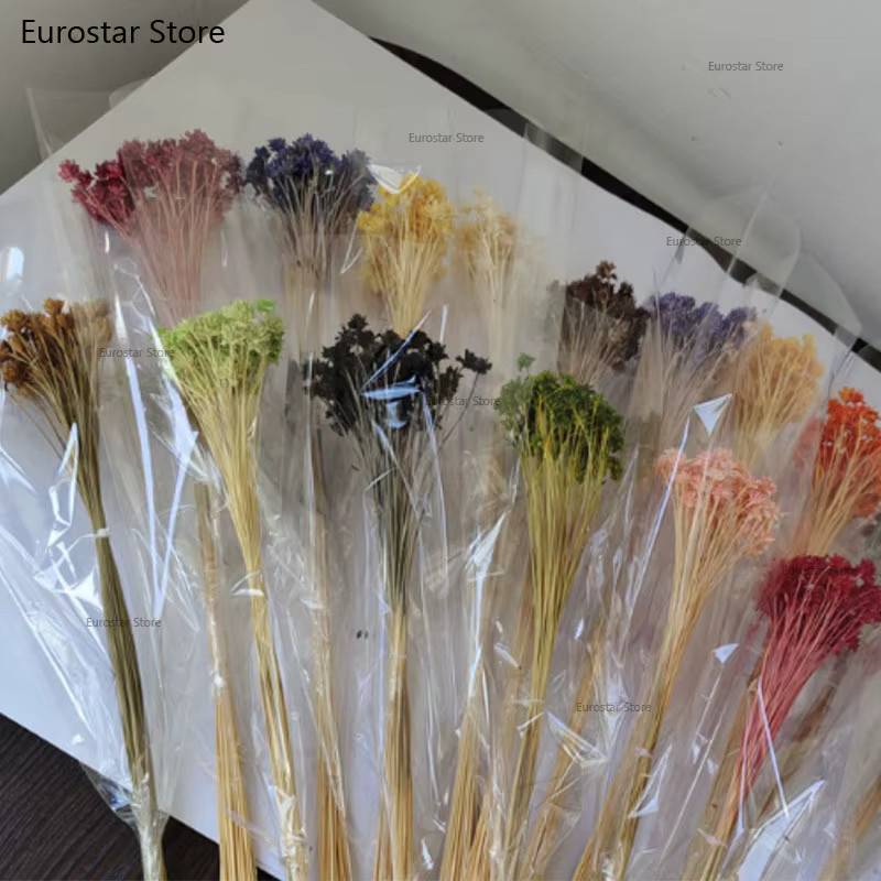 NUOYING Blumenstrauß aus echten getrockneten Gebirgsblumen, Multicolor, natürliche Tischdekoration für dein Zuhause - Bild 2