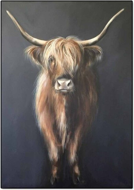 TPFLiving Poster Leinwand Brauner Highland Büffel Motiv B: 60 cm, H: 80 cm - Bild 1