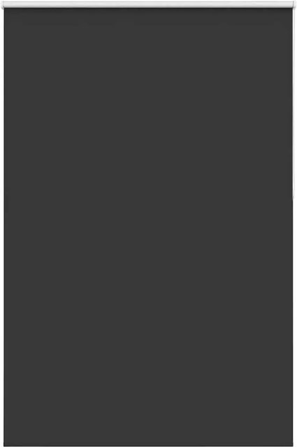 vidaXL Verdunkelungsrollo Schwarz aus Polyester, Breite: 160 cm, Höhe: 210 cm - Bild 1
