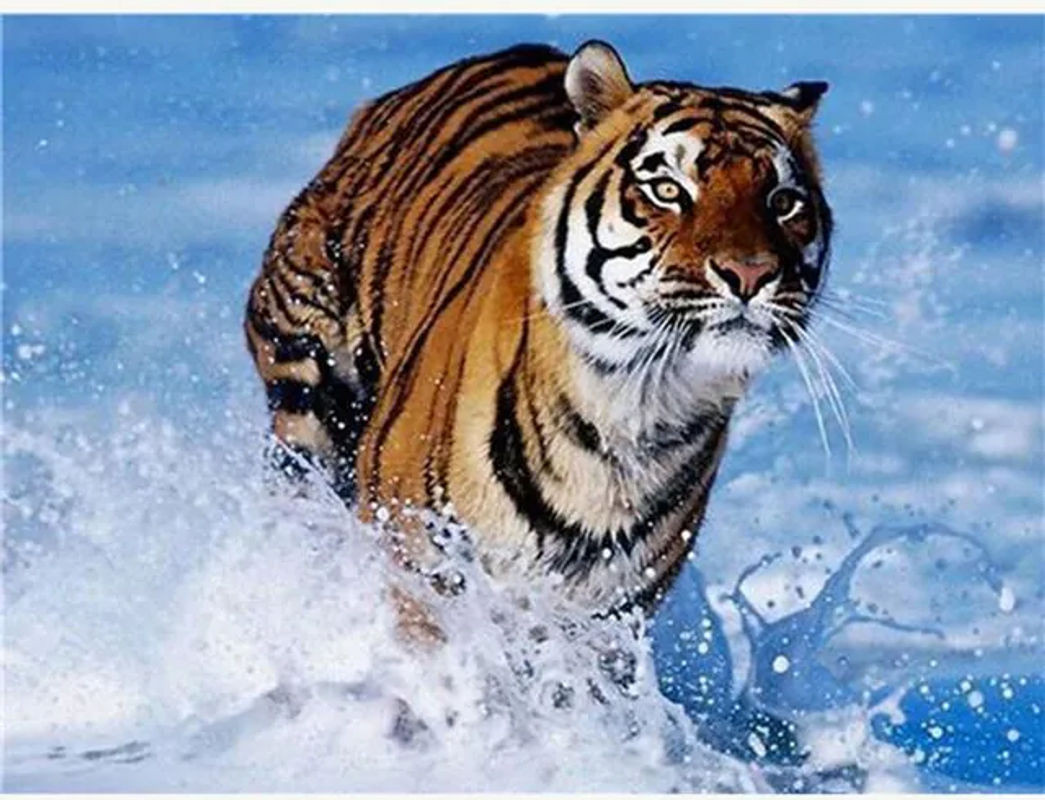 FIYO Diamond Painting Set Tiger im Wasser als 5D DIY Mosaik Dekoration, Mehrfarbig, Breite: 30 cm, Höhe: 20 cm - Bild 1