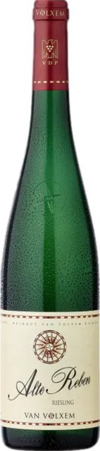 Van Volxem Alte Reben Riesling, trocken, Weißwein, 2024, 0,75 l - Bild 1