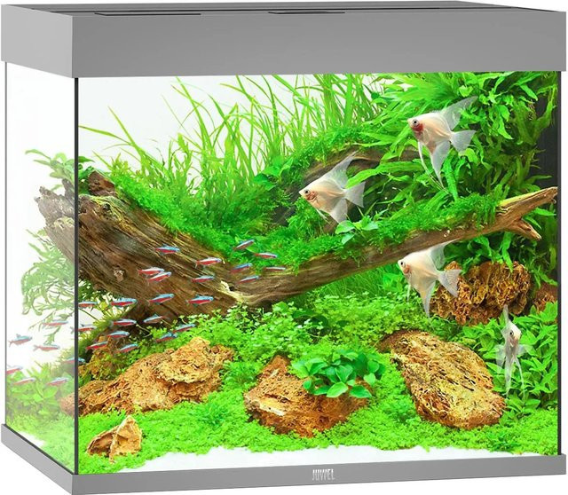 Juwel Aquarium Lido LED 200 in Grau - Bild 1