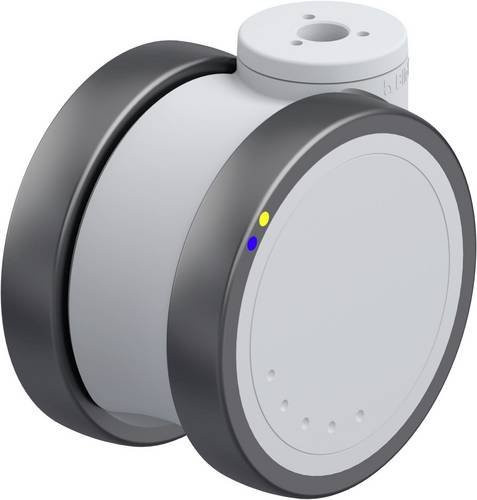 Blickle Kunststoff-Doppelrolle LKDGX-PATH 100XK-ELS in Grau und Silber mit 100mm Durchmesser und 100kg Tragfähigkeit - Bild 1