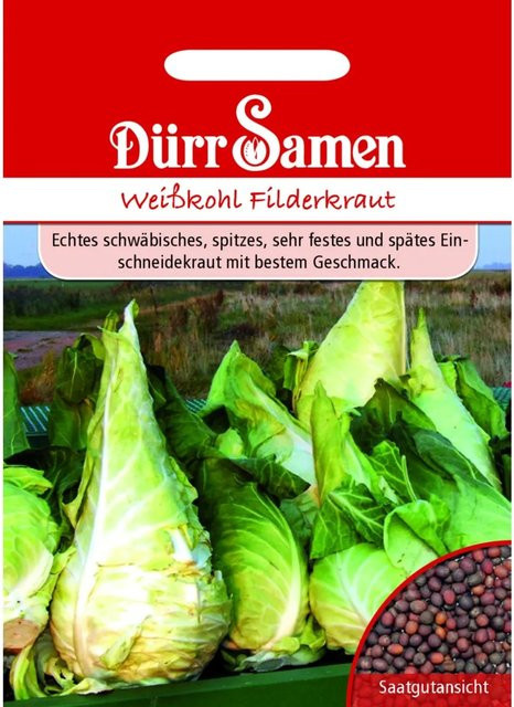Dürr Weißkohl Spitzkraut Saatgut für Gemüse - Bild 1