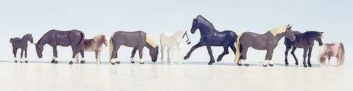 Schleich Tiere, 1:87 (Spur H0), Kunststoff, Bunt / Mehrfarbig