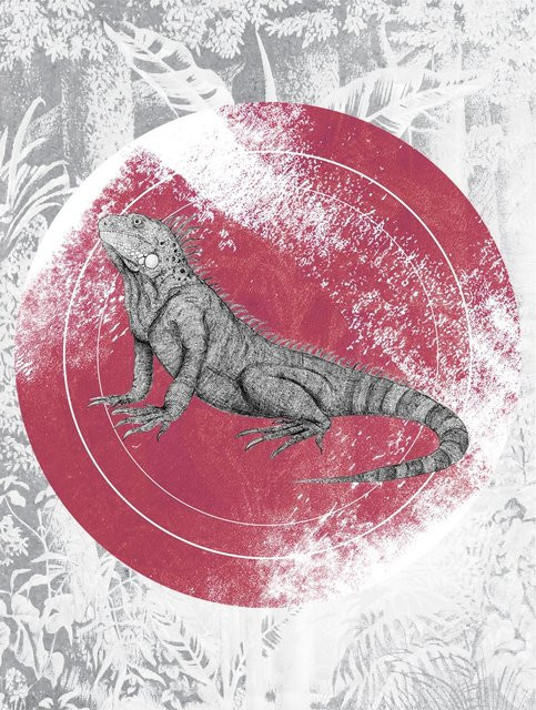 Komar Wandbild Iguana Circle aus Qualitätsvlies, Breite: 30 cm, Höhe: 40 cm - Bild 1