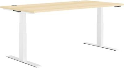 Schäfer Shop Genius Schreibtisch MODENA FLEX, elektrisch höhenverstellbar, T-Fuß, Breite: 160 cm, Tiefe: 80 cm, Ahorn/weiß - Bild 1