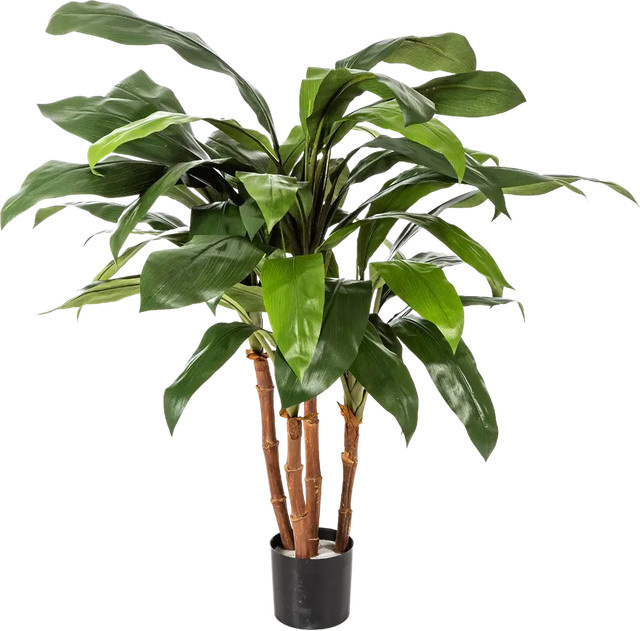 Künstliche Cordyline Oskar von Aplanta, Höhe: 90 cm - Bild 1
