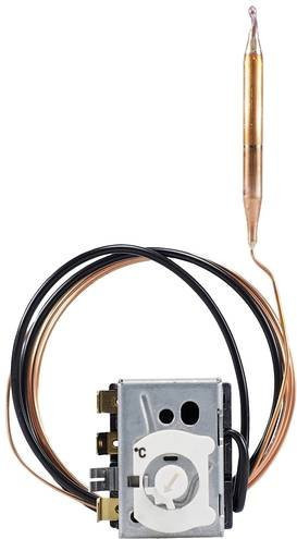 Jumo Temperaturbegrenzer 60003291 in Silber und Messing - Bild 1