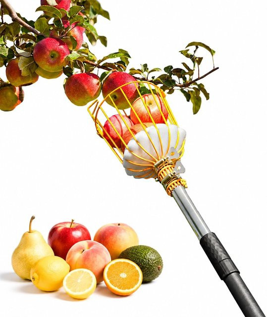 BlumeTrec Obstpflücker Stange mit Korb aus Edelstahl, verstellbar 89 bis 195 cm, Silber - Bild 1