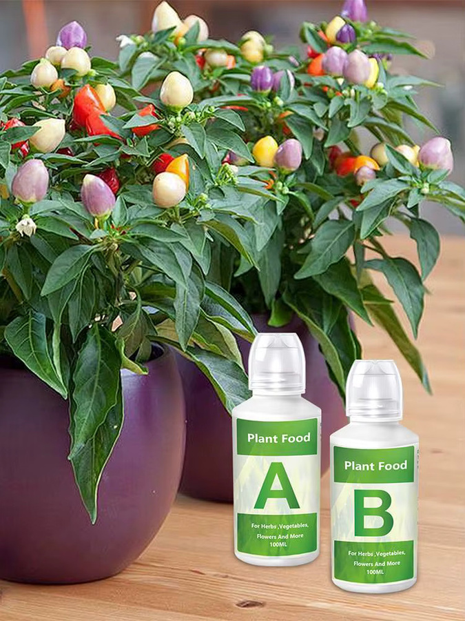 Dünger A und B für Hydrokultur als Flüssignährstoff für Gartenpflanzen, Gemüse, Blumen und Rasen - Bild 4
