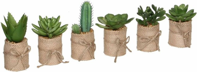 Mica Decorations Kunstpflanze Sukkulente im Topf, Grün, Durchmesser: 5 cm, Höhe: 12 cm - Bild 1