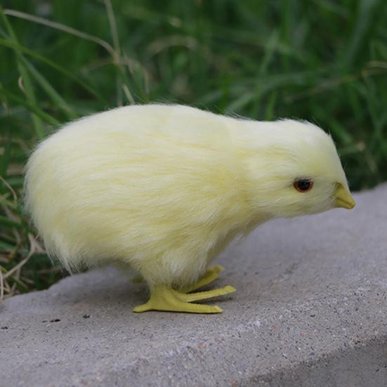 Amusedly Plüsch Huhn Küken mit Sound Spielzeug - Bild 3