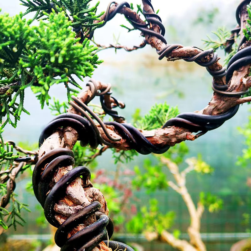 Schwarzer Aluminiumdraht für Bonsai und Pflanzen zur Befestigung und zum Styling - Bild 2
