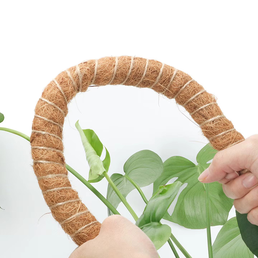 Biegsamer Pflanzen-Kletterstab aus Kokosfaser für Monstera und Zimmerpflanzen, braun, Höhe: 60–120 cm - Bild 2
