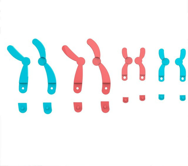 Painter DNA-Modellbausatz, Meiose-Chromosomenmodell, Kunststoff, Bunt / Mehrfarbig - Bild 1