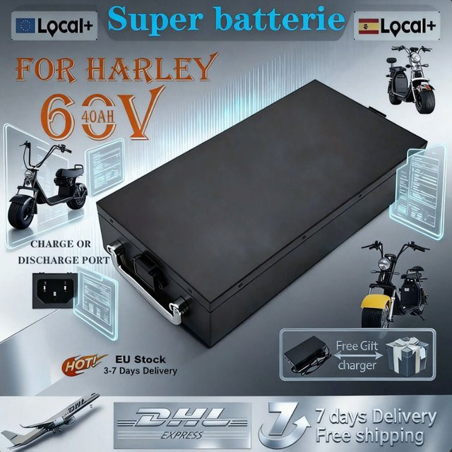 Ddadache Lithium-Ionen-Batterie für Harley Elektro-Zweiräder und Citycoco Faltroller, 60V, Farbe: Schwarz - Bild 1