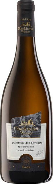 Oberkircher Winzer Rotwein Pinot Noir 2024, Baden, trocken, 0,75 l - Bild 1