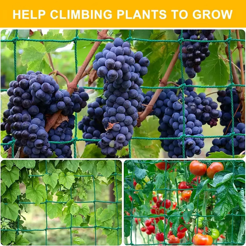 Grünes Pflanzenkletternetz aus Nylon für Gemüse und Obst, Heavy Duty Spaliernetz für Gurken, Tomaten und Trauben - Bild 2
