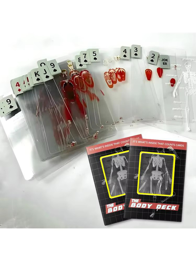 ALLOYSEED Anatomie-Pokerkarten, 3D-Bild Lernkarten, Bunt / Mehrfarbig - Bild 6