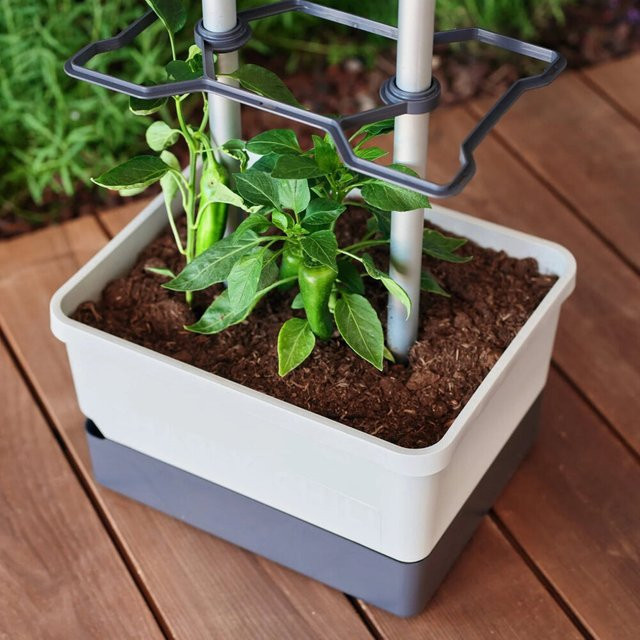 Gusta Garden Charly Chili Pflanzentopf mit Rankhilfe, Hellgrau, Höhe: 105,4 cm - Bild 2