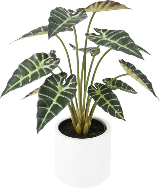 Künstliche Alocasia Tamika von Aplanta, Höhe: 70 cm - Bild 1