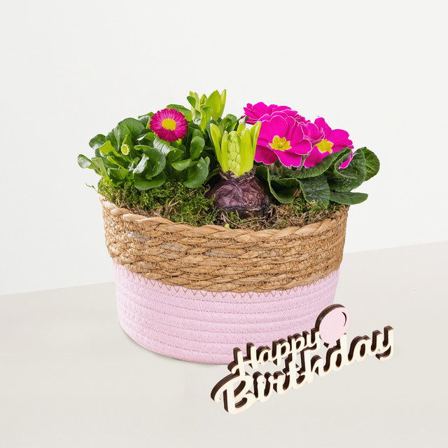 Blume2000 Frühlingskorb mit Happy Birthday Holzschriftzug in Pink, Rund, Durchmesser: 25 cm - Bild 1