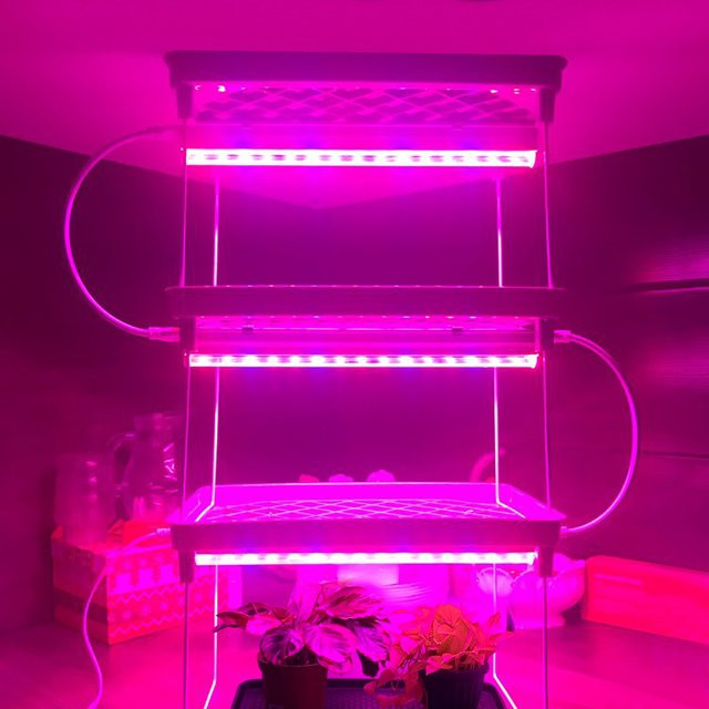 Lcamaw LED Pflanzenlampe T5 Vollspektrum Phyto Lampe für Hydrokultur und Blumen, Länge: 29 cm - Bild 1