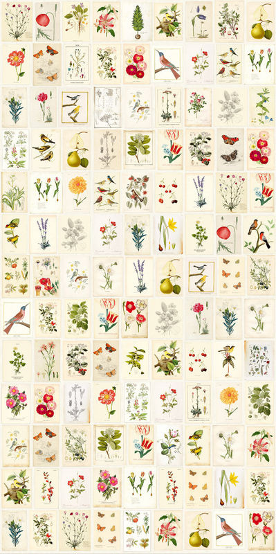 Eijffinger Tapete Botanical Non-Woven Multicolor - Bild 2