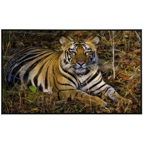 papermoon Infrarotheizung EcoHeat Tiger in Bunt mit Matt-Effekt, App-Steuerung und Überhitzungsschutz - Bild 2