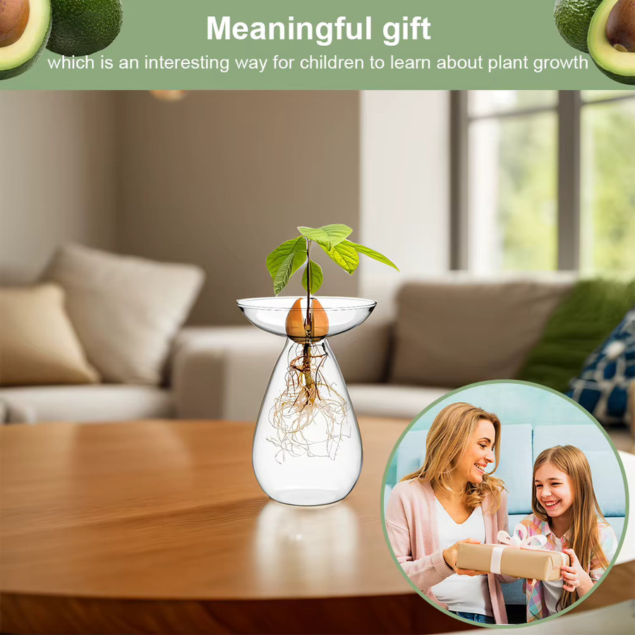 Mojoyce Avocado-Samen-Startervase aus Glas, transparente Hydrokulturvase für Avocado-Bäume und Pflanzen - Bild 3